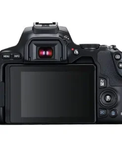 Canon EOS 250D 3.jpg