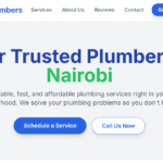 SEO for Hyperlocal Businesses in Kenya