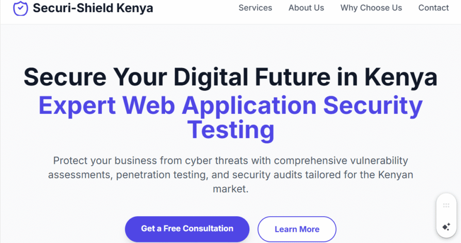 Web Application Security Testing Kenya:
