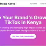 TikTok Ad Campaign Setup in Kenya