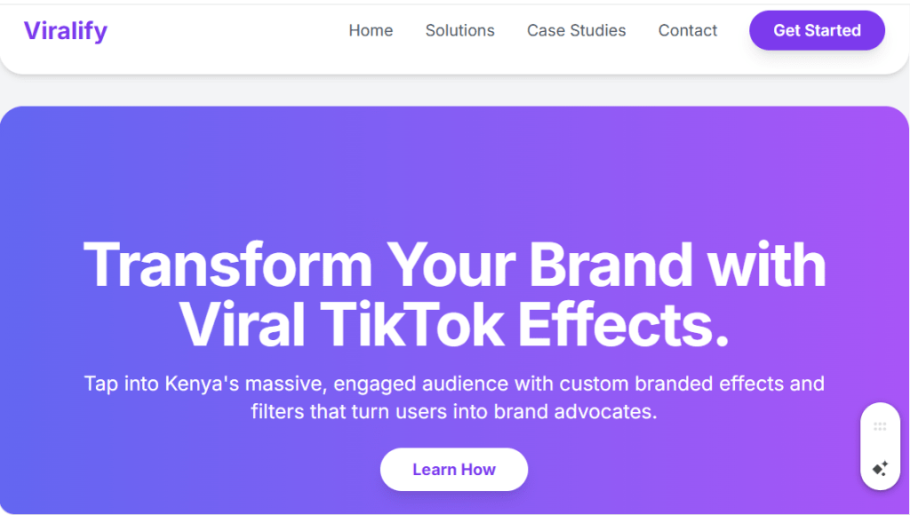 TikTok Branded Effects/Filters in Kenya