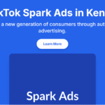 TikTok Spark Ads in Kenya