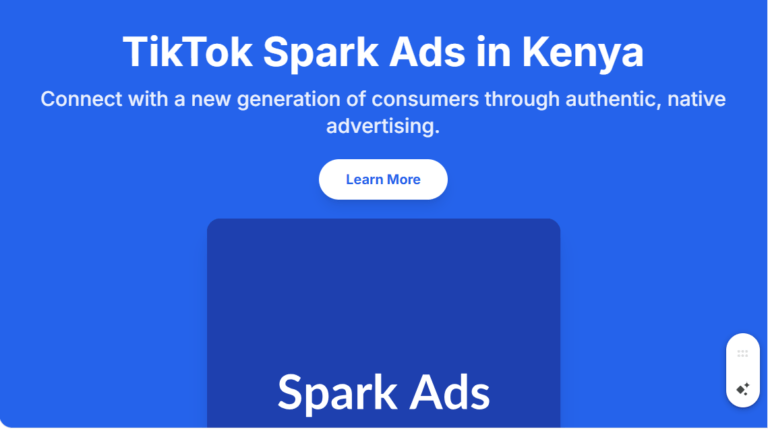 services 9 TikTok Spark Ads in Kenya