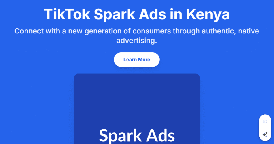 TikTok Spark Ads in Kenya