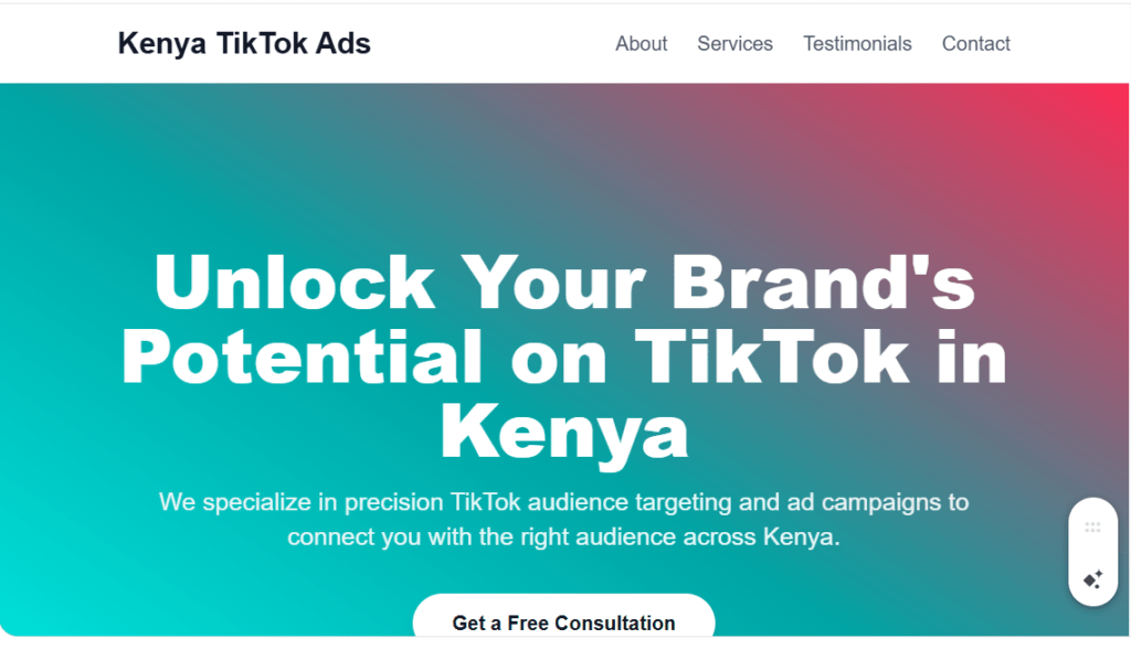 TikTok Audience Targeting in Kenya