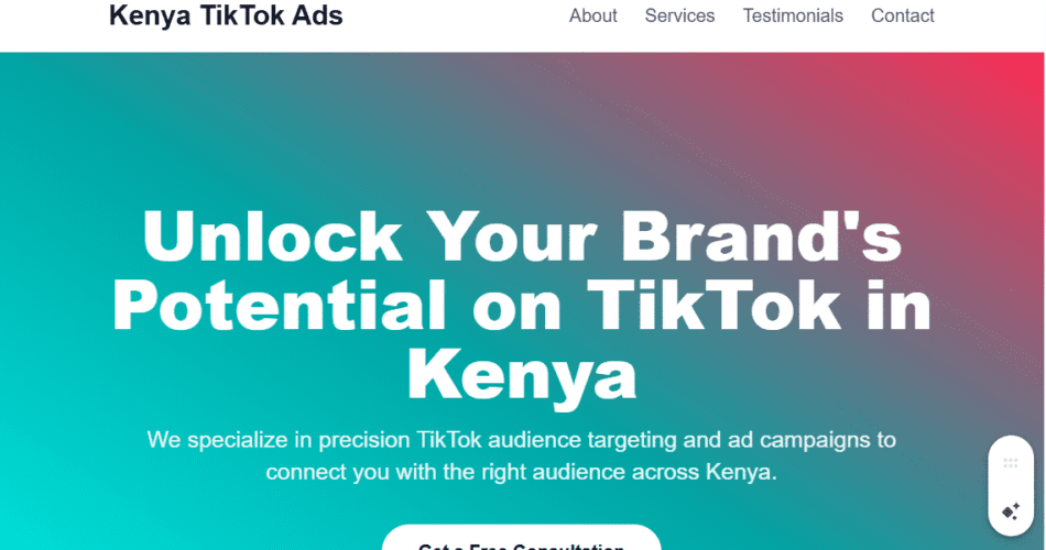 TikTok Audience Targeting in Kenya