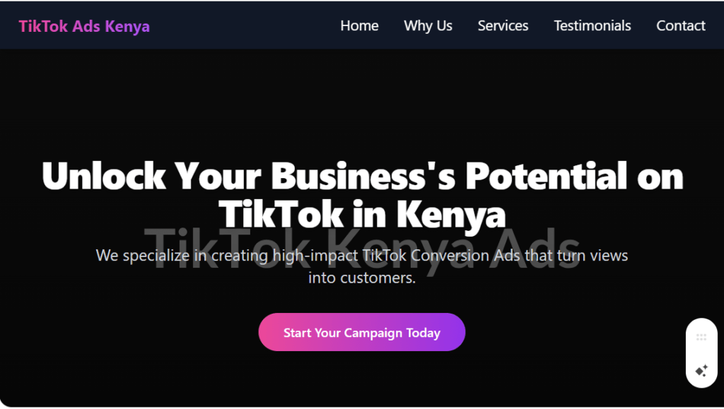 TikTok Conversion Ads in Kenya 1 TikTok Conversion Ads in Kenya