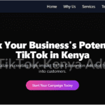 TikTok Conversion Ads in Kenya