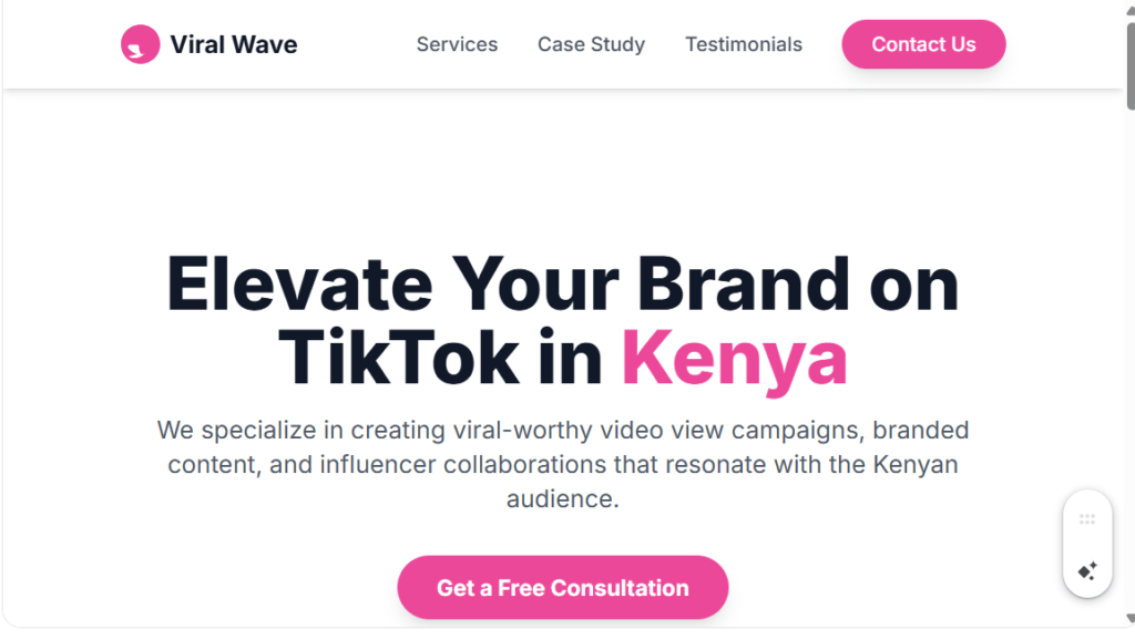 TikTok Video View Campaigns in Kenya