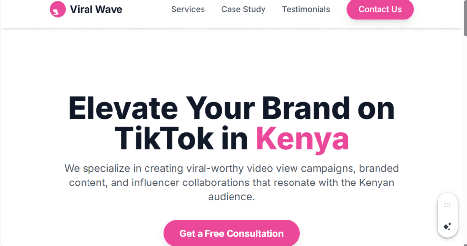 TikTok Video View Campaigns in Kenya