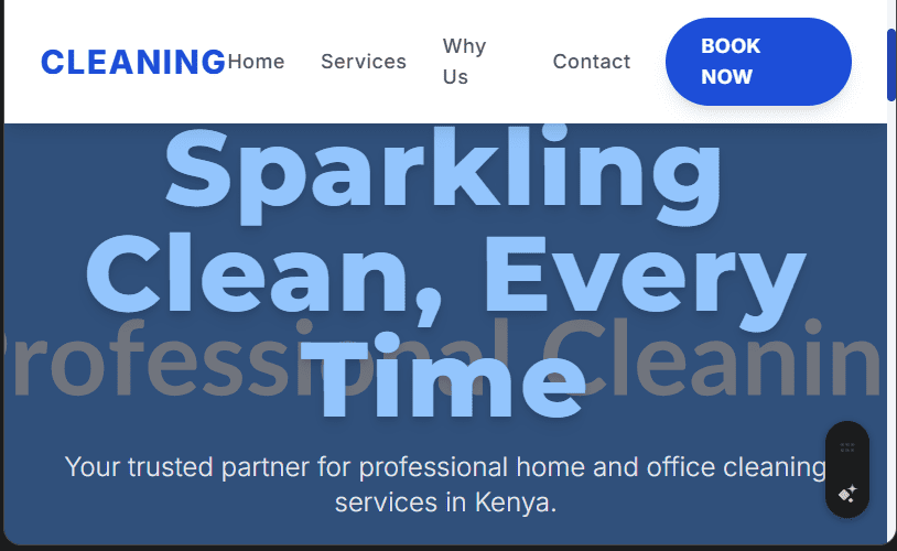 Cleaning Services Website Design in Kenya