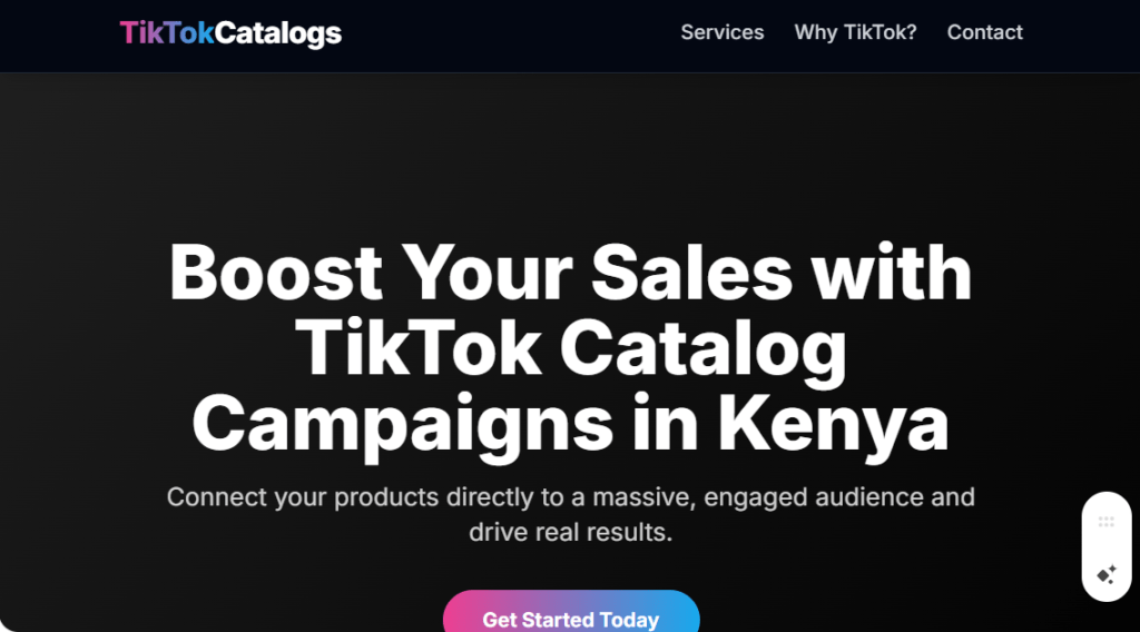TikTok Catalog Sales Campaigns in Kenya