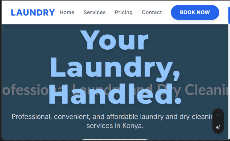 Laundry & Dry Cleaning Service Website Design in Kenya