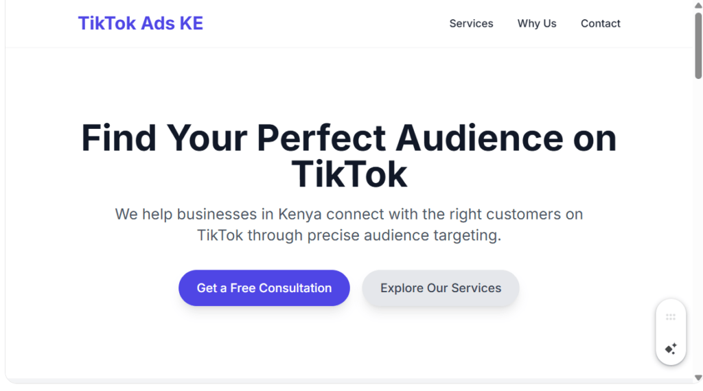 TikTok Custom Audience Creation in Kenya