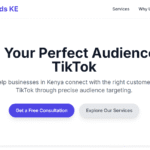 TikTok Custom Audience Creation in Kenya