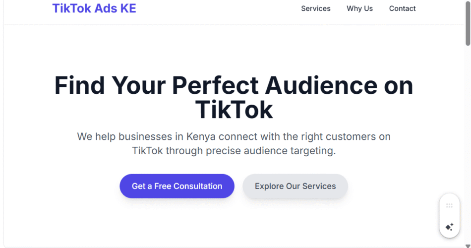 TikTok Custom Audience Creation in Kenya