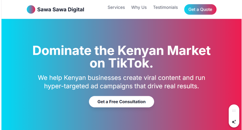 TikTok Lookalike Audience Creation in Kenya