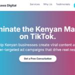 TikTok Lookalike Audience Creation in Kenya