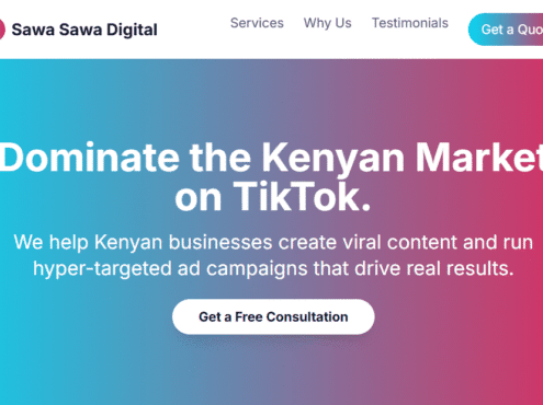 TikTok Lookalike Audience Creation in Kenya