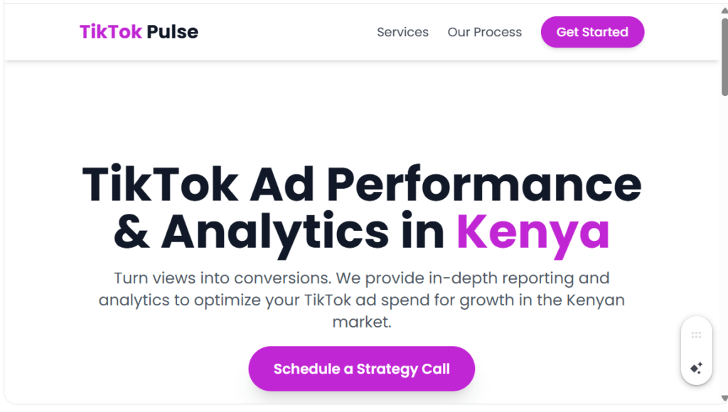 TikTok Ad Performance Reporting & Analytics in Kenya