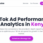 TikTok Ad Performance Reporting & Analytics in Kenya