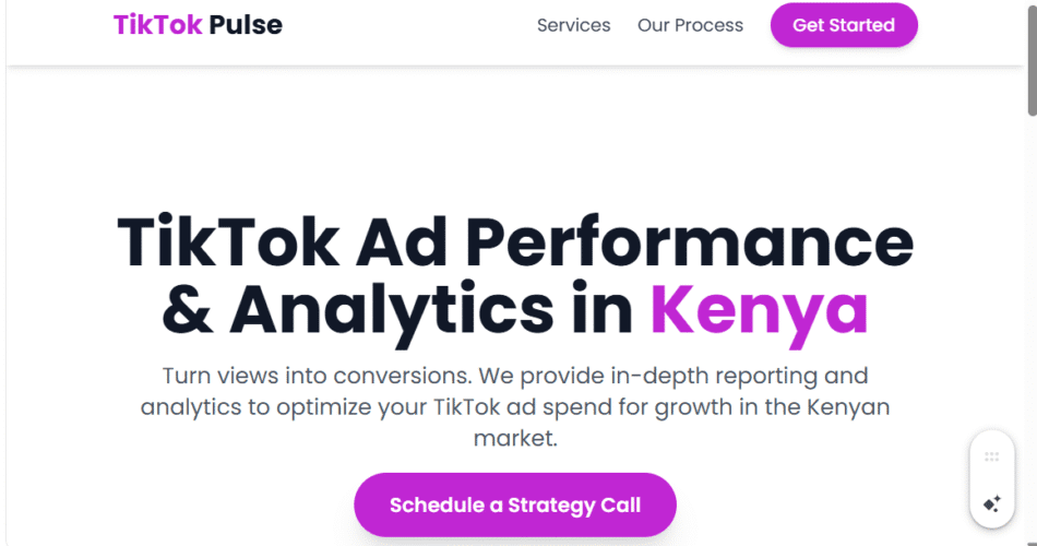 TikTok Ad Performance Reporting & Analytics in Kenya