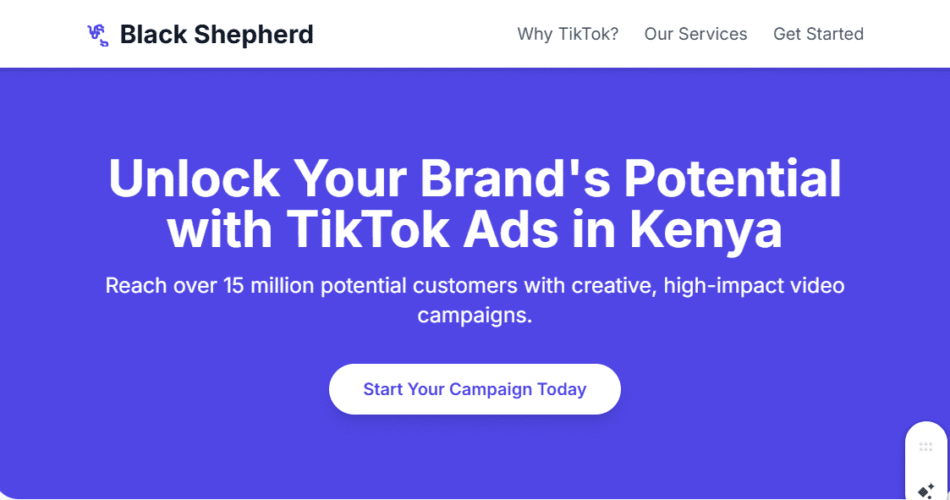 TikTok Ads for Small Businesses in Kenya