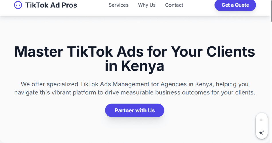 TikTok Ads Management for Agencies in Kenya