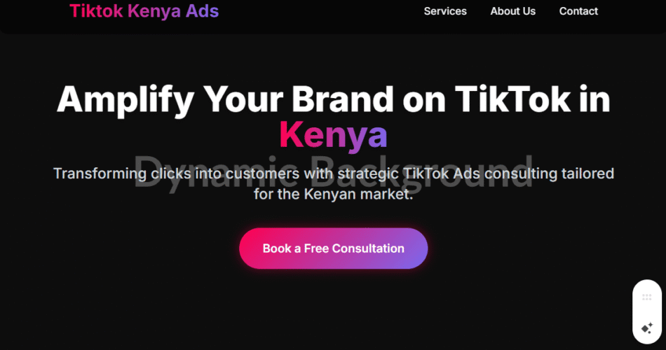 TikTok Ads Consulting & Strategy in Kenya