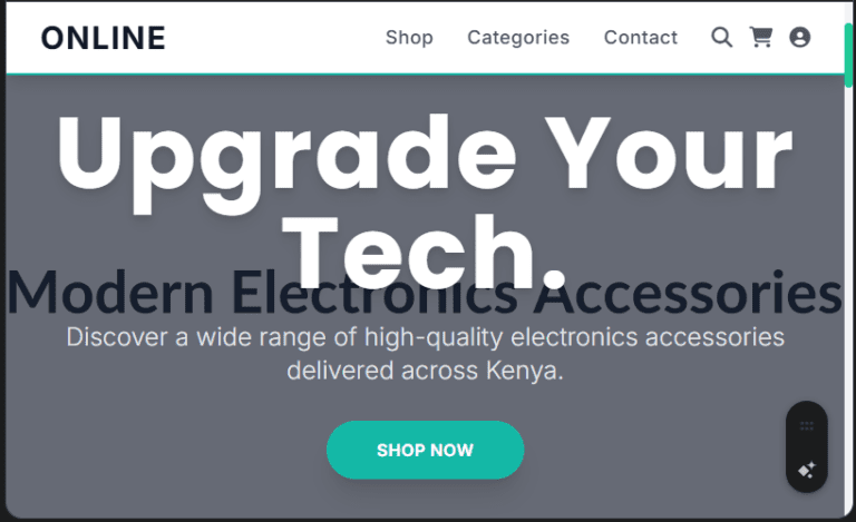 services 2 Online Electronics Accessories Shop Website Design in Kenya