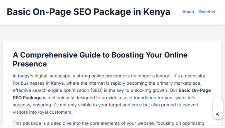 Basic On-Page SEO Package in Kenya: