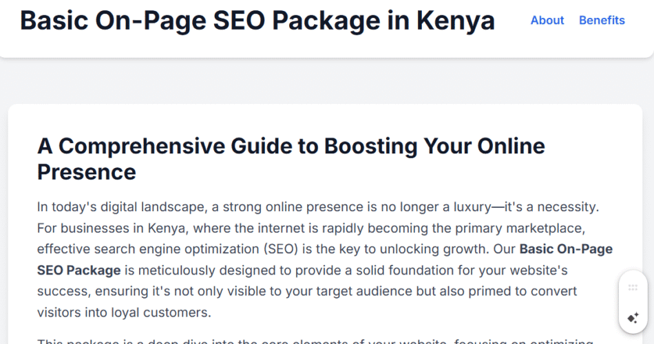 Basic On-Page SEO Package in Kenya: