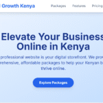 Small Business Website Package in Kenya: