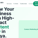 CONTENT SEO OPTIMIZATION IN KENYA