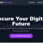 Vulnerability Assessment & Penetration Testing (VAPT) in Kenya