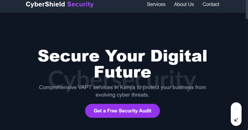 Vulnerability Assessment & Penetration Testing (VAPT) in Kenya