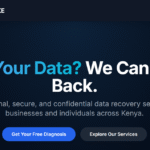 Logical Data Recovery in Kenya: