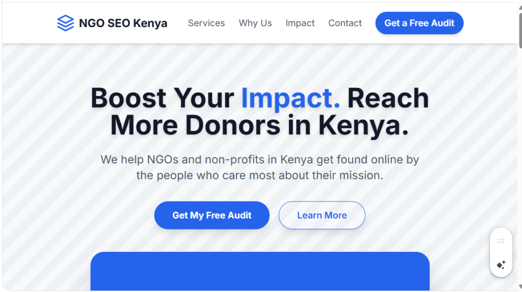 SEO FOR NGOs IN KENYA