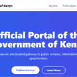 SEO FOR GOVERNMENT WEBSITES IN KENYA