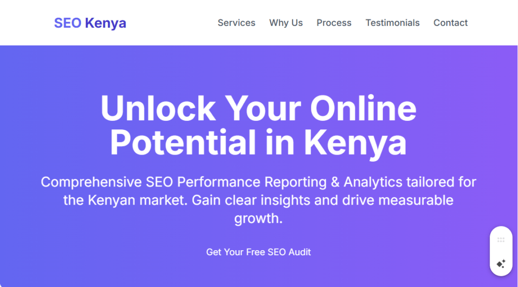 SEO Performance Reporting & Analytics in Kenya