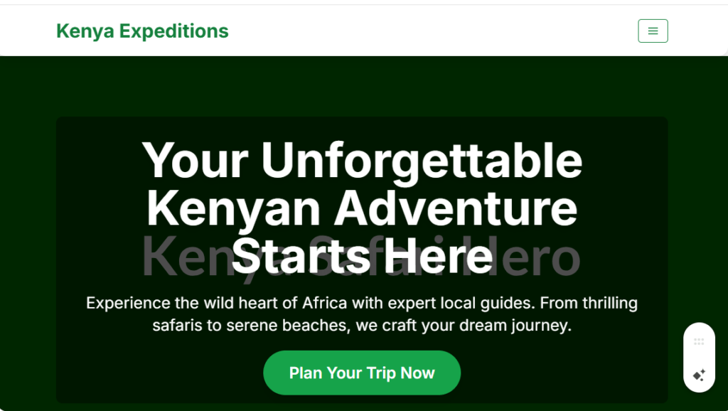 SEO for Tour Guides in Kenya