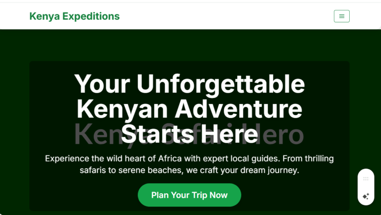SEO for Tour Guides in Kenya