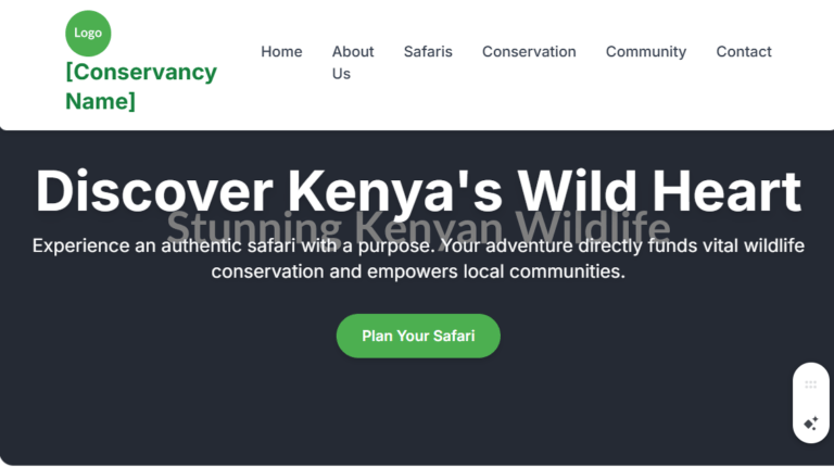 services 6 SEO for Wildlife Conservancies in Kenya