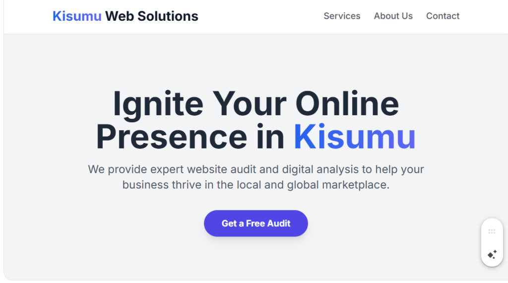 Website Audit & Analysis Kisumu