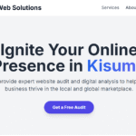 Website Audit & Analysis Kisumu