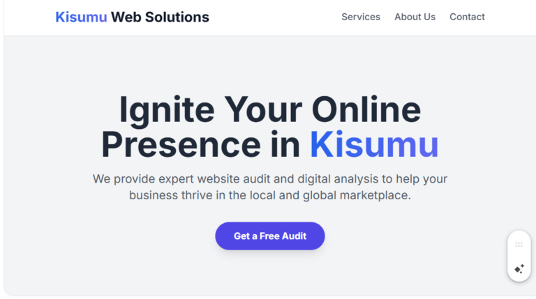 Website Audit & Analysis Kisumu