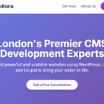 CMS Development (WordPress, Joomla, Drupal) London