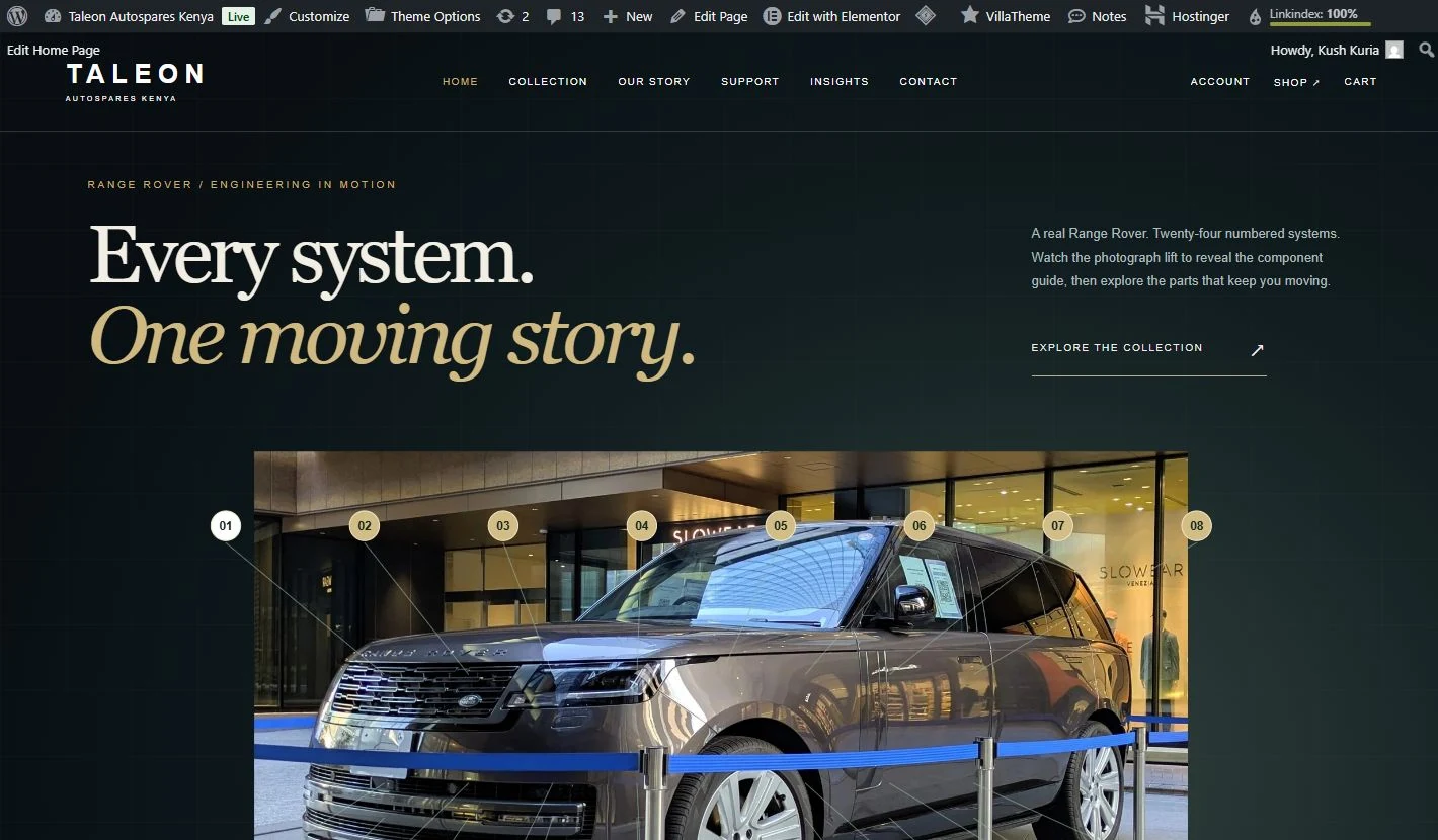 Taleon Autospares Kenya project image