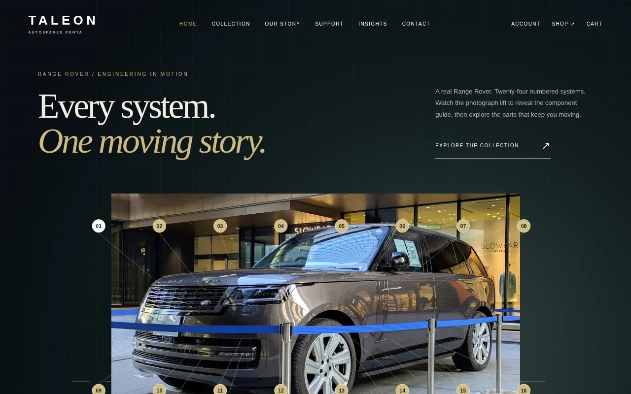 Taleon Autospares Kenya project image