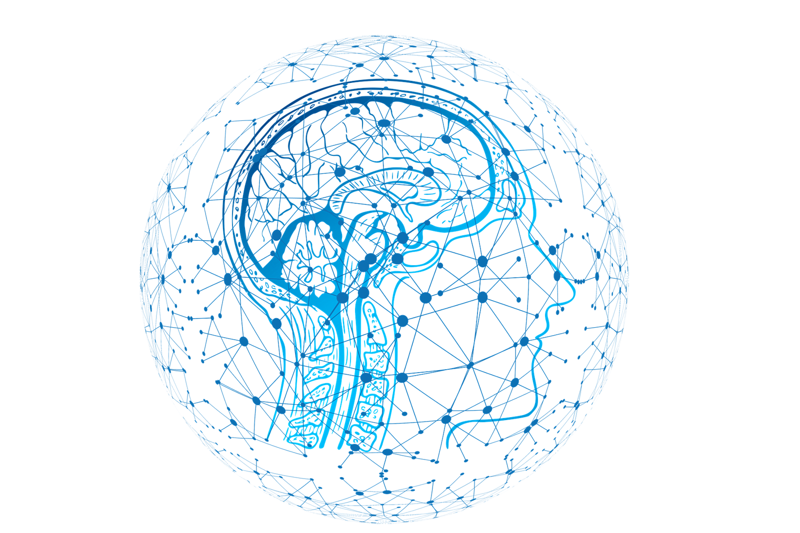 Technology Black Shepherd